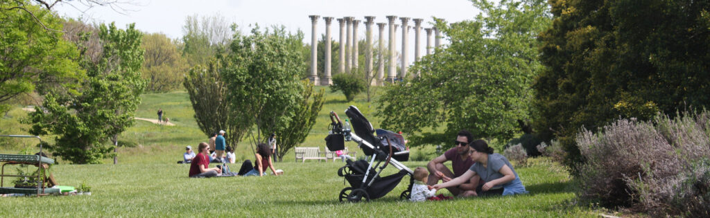 FONA Field Notes banner of picnic in the meadow