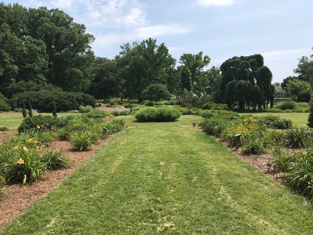 perennials and boxwood collection