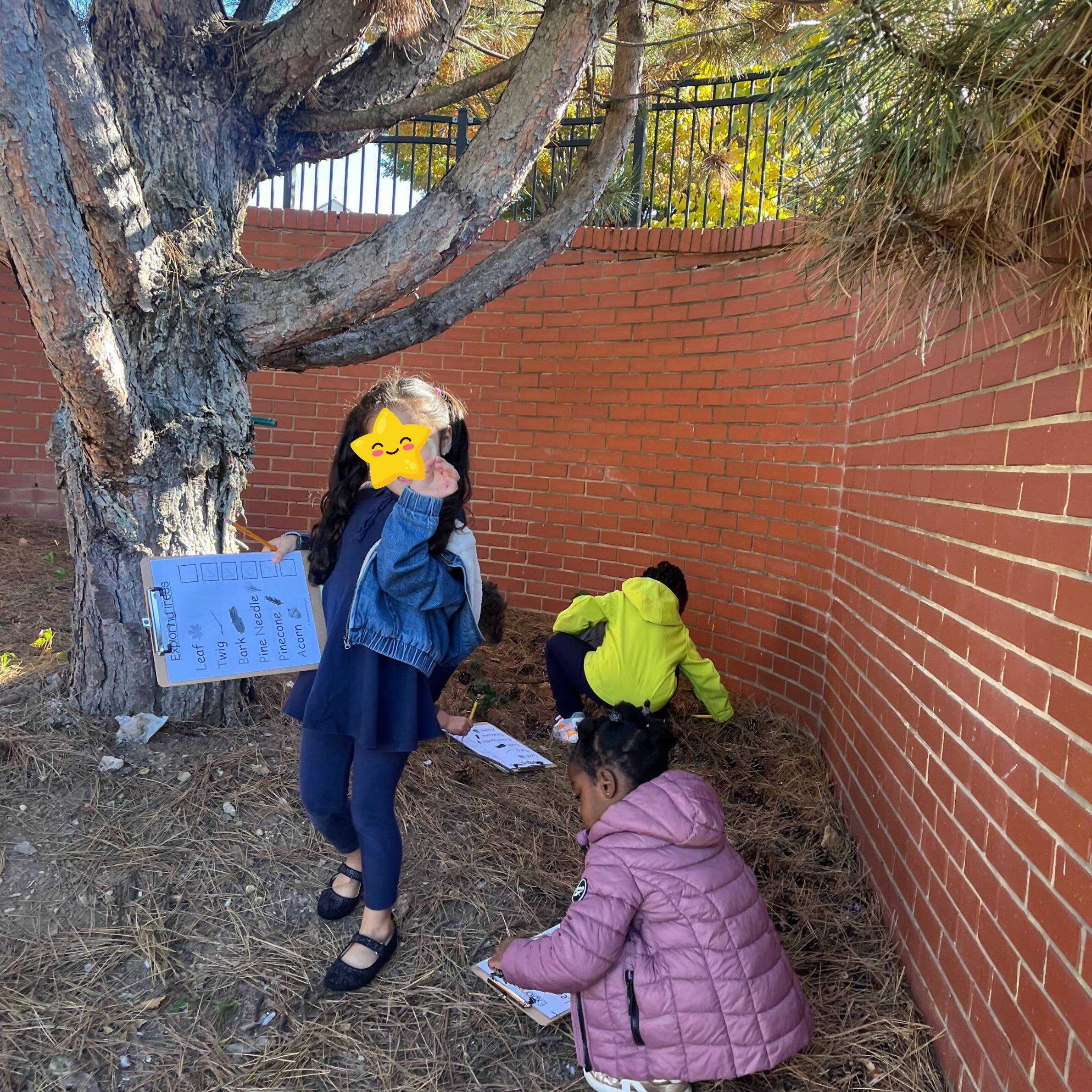 students on a tree-sure hunt