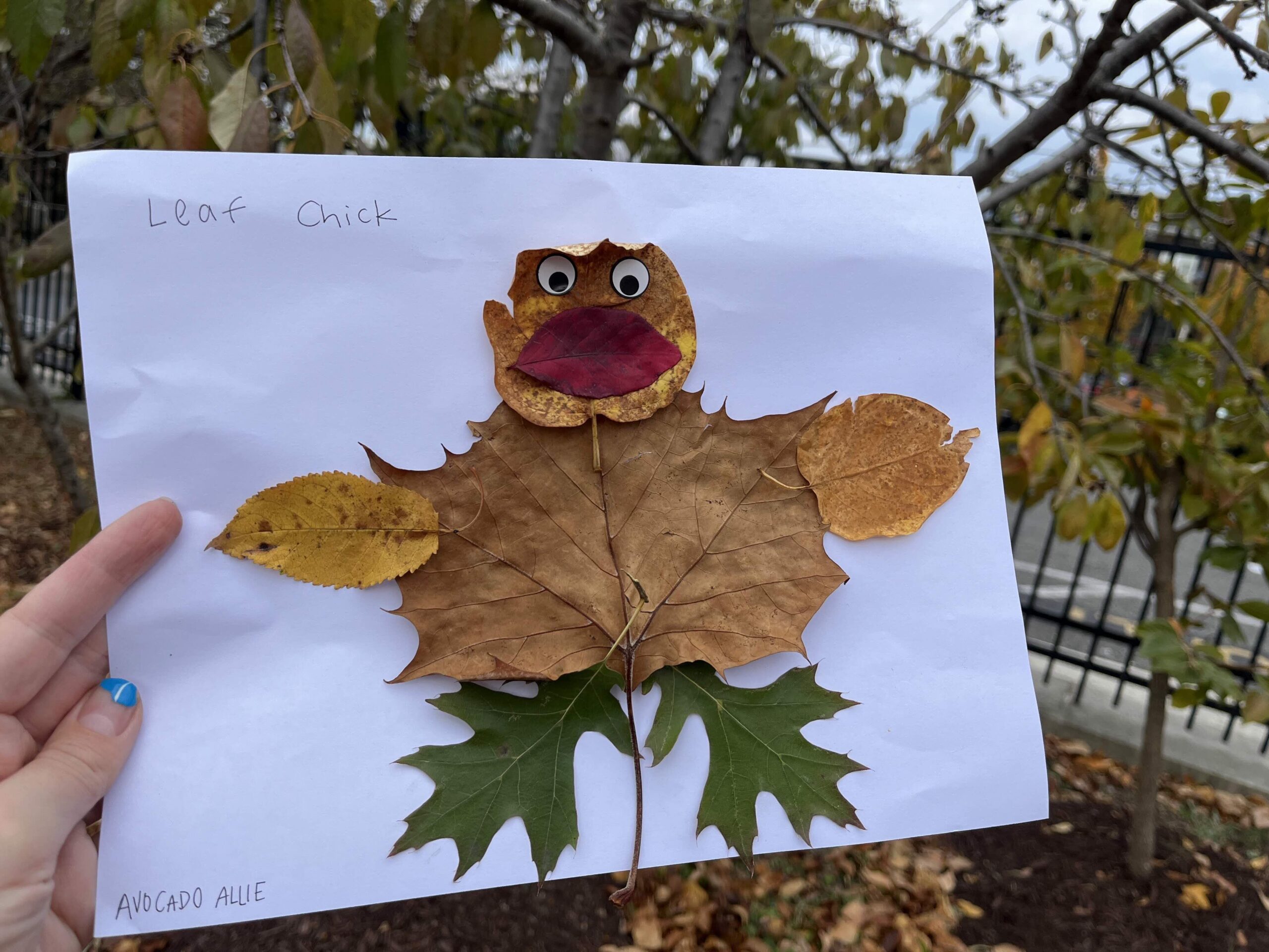 leaf collage from a tree-sure hunt