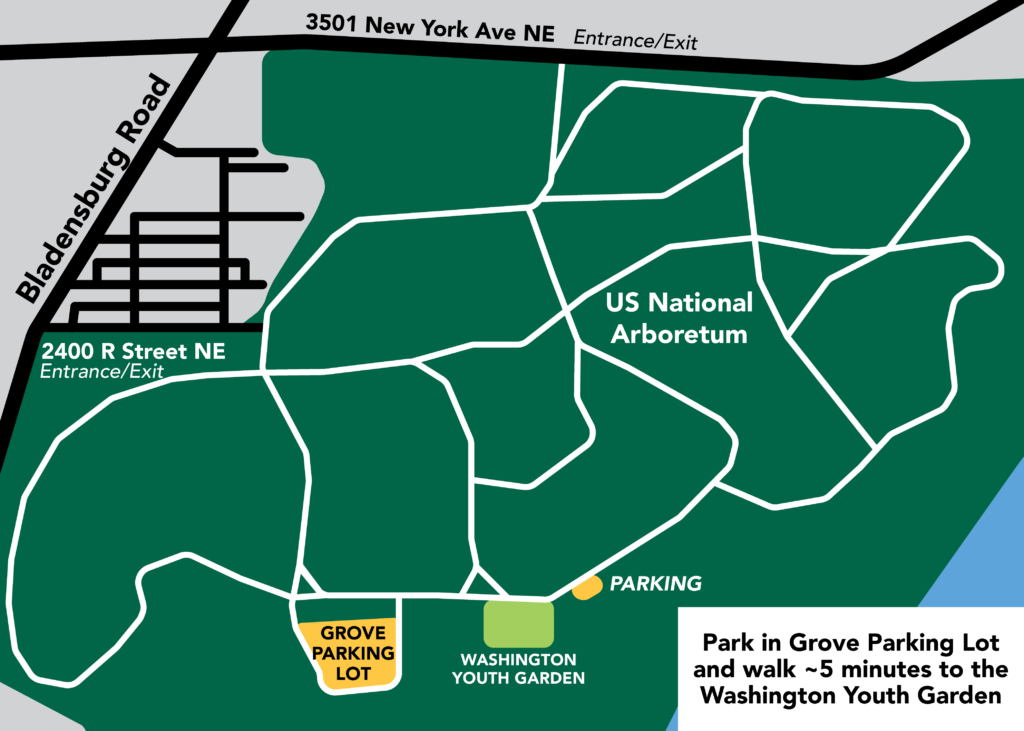 illustrated map of the arboretum, highlighting an event located in the washington youth garden