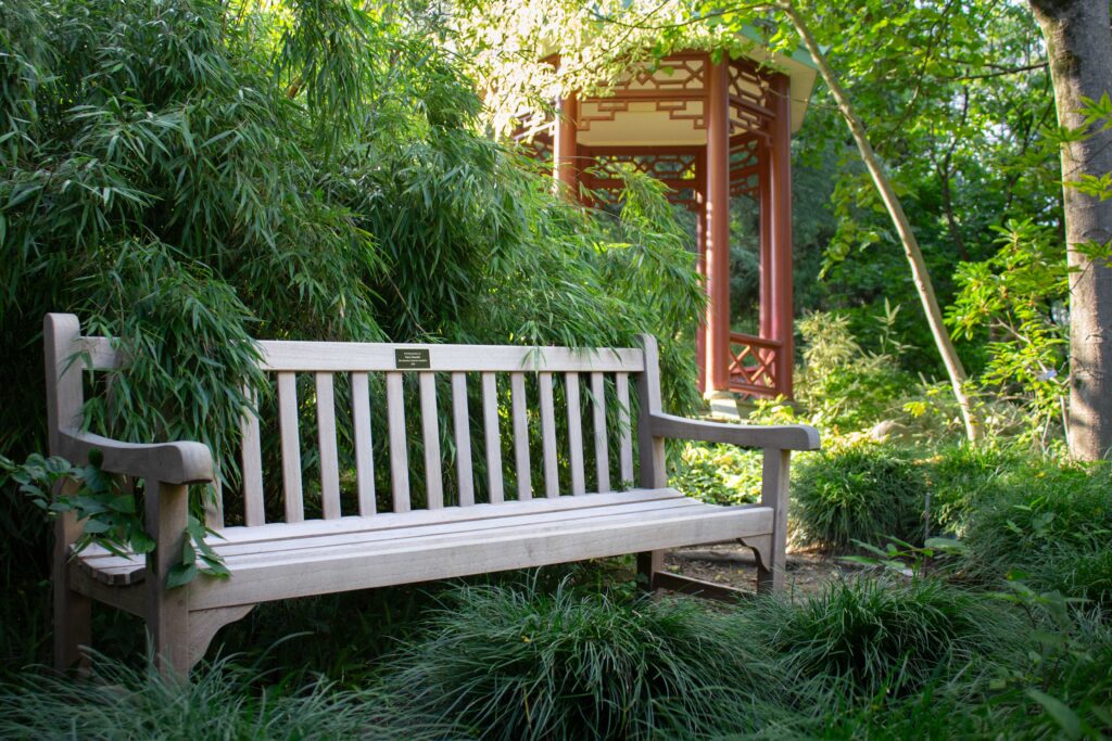 commemorative bench nestled behind the gazebo in the asian collections