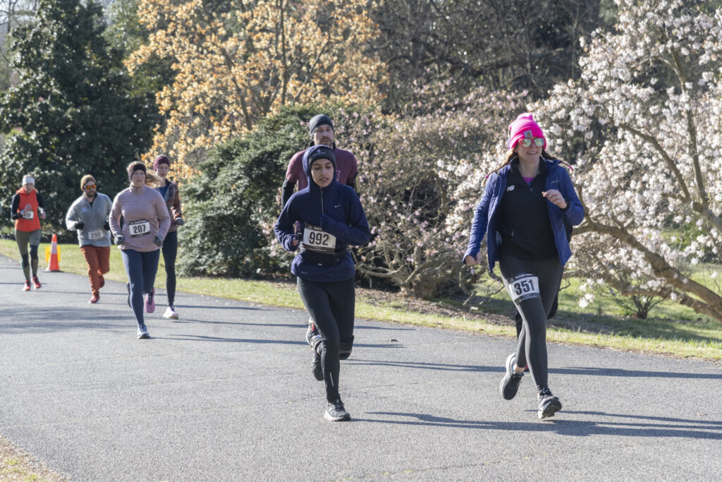 flowering 5k racers run through the holly magnolia collections