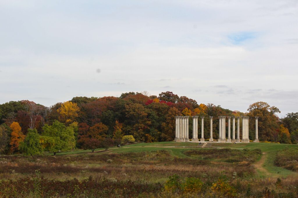 trees changing colors in autumn behind the capitol columns