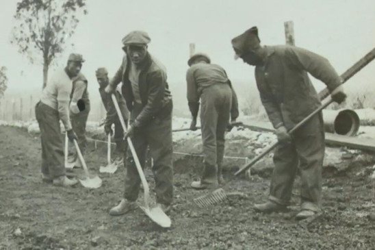 civilian conservation corps company 1360 grading a road, credit national arboretum