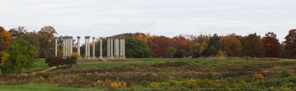 trees changing colors in autumn behind the capitol columns