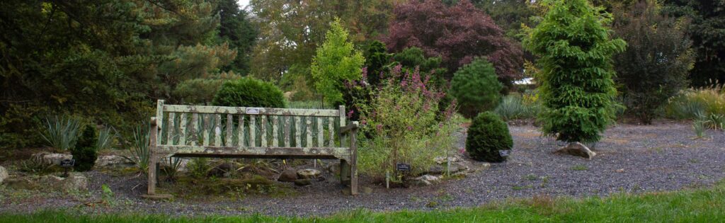 commemorative bench in the gotelli conifer collection, formatted for a newsletter banner