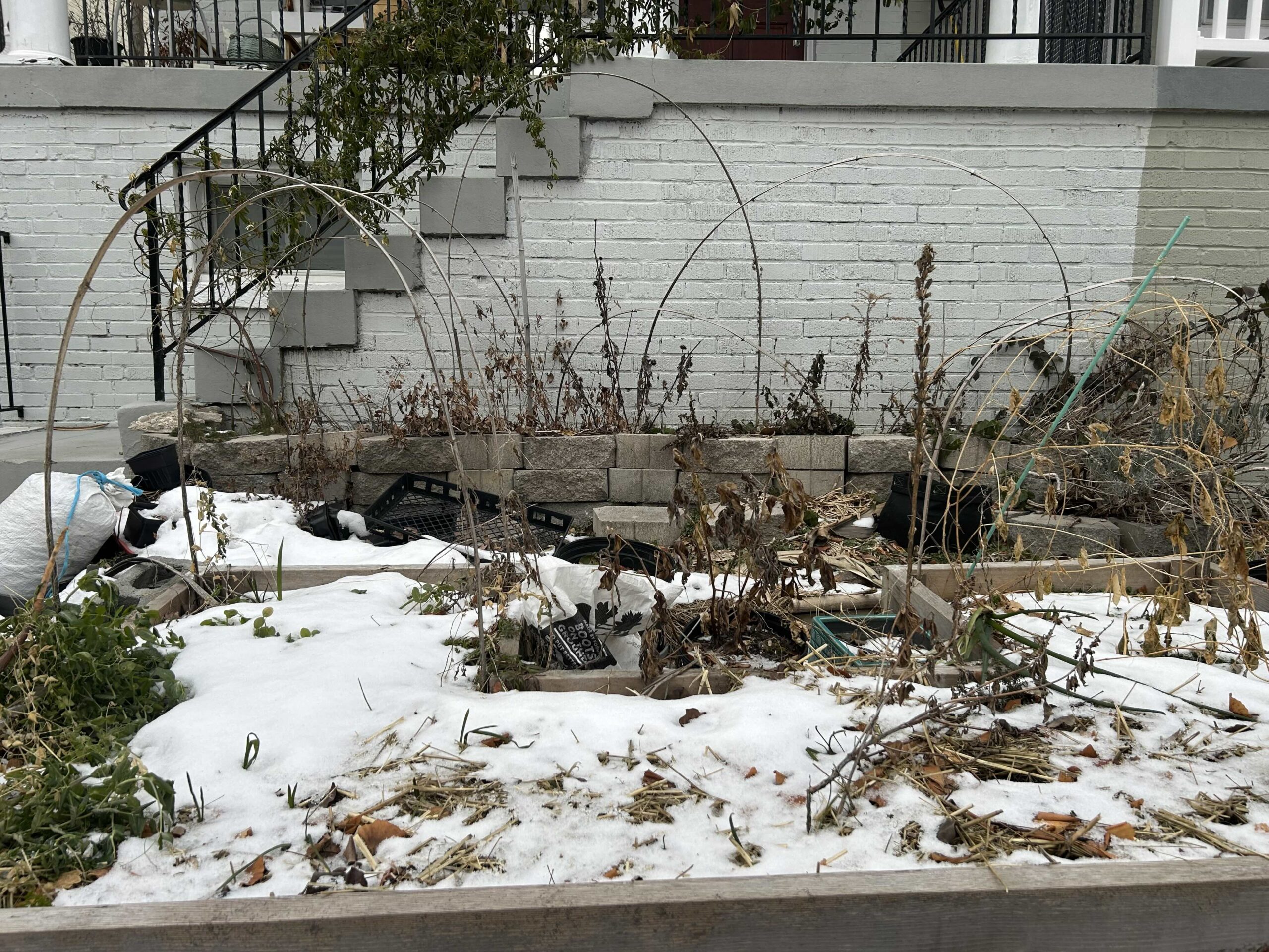 garden bed in winter covered in snow